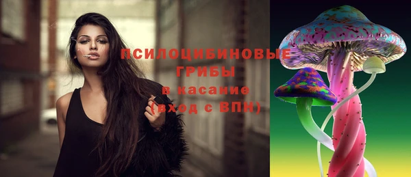 ПСИЛОЦИБИНОВЫЕ ГРИБЫ Алзамай