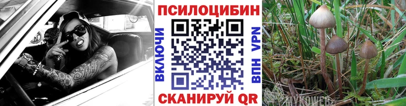 Псилоцибиновые грибы Psilocybine cubensis  Нарткала 